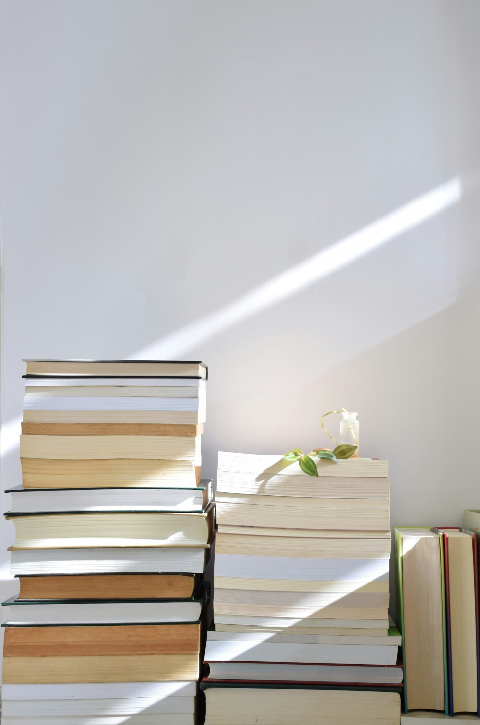 Four books I keep almost buying: Stacks of books with a small plant on a white surface in sunlight